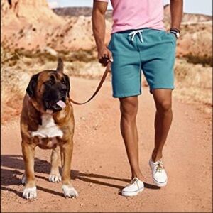 American Apparel French Terry Shorts Teal XS
